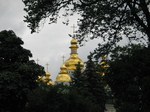 28219 St. Michael's Golden-Domed Cathedral through trees.jpg